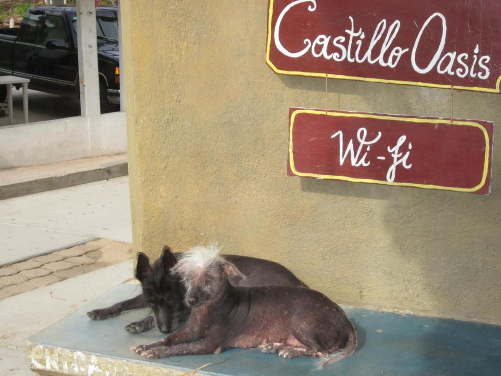 Castillo Oasis Zipolite Exterior foto